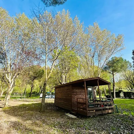 Camping Amalasunta Montefiascone