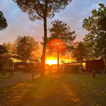 Camping Amalasunta Montefiascone