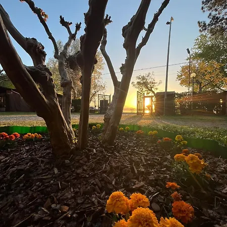 Κάμπινγκ Amalasunta *