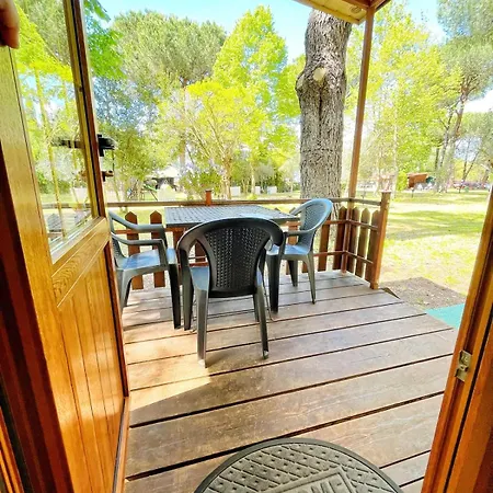 Amalasunta Montefiascone