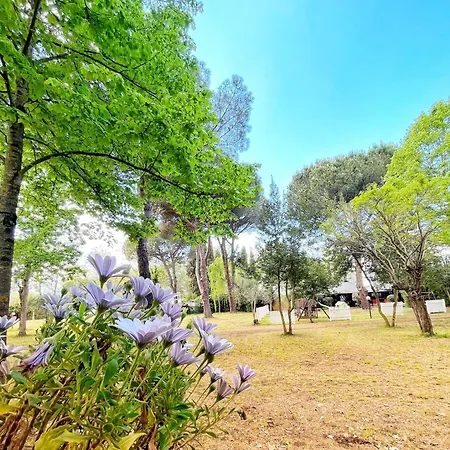 Camping Amalasunta