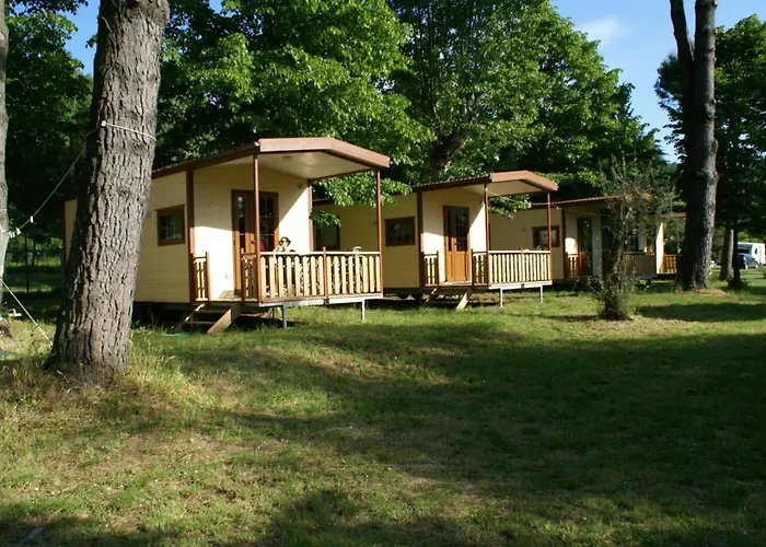 Amalasunta * Montefiascone