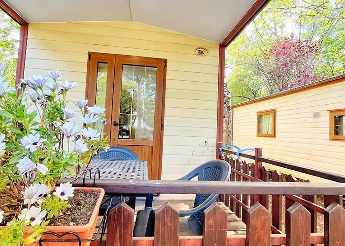 Camping Amalasunta Montefiascone