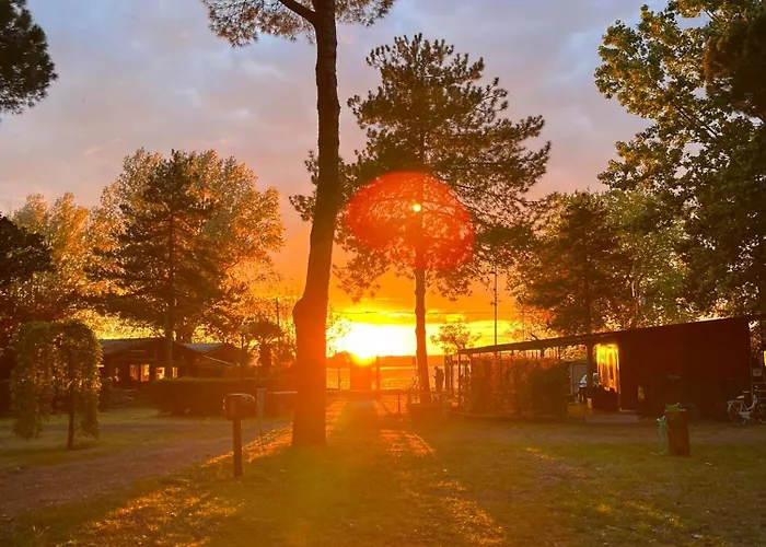 Camping Amalasunta Montefiascone