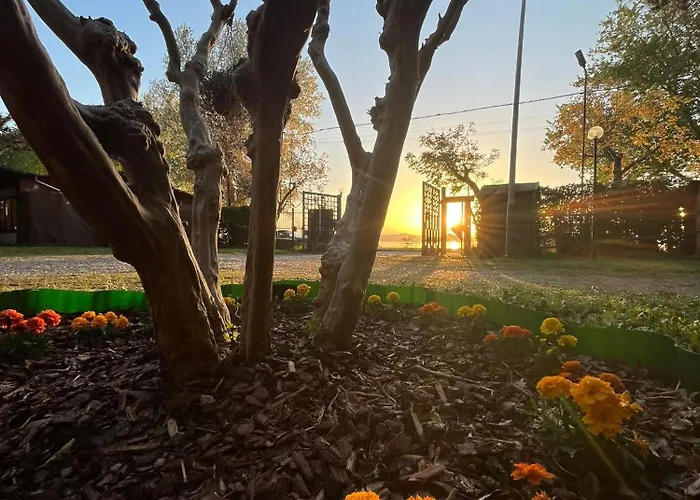 Camping Amalasunta *