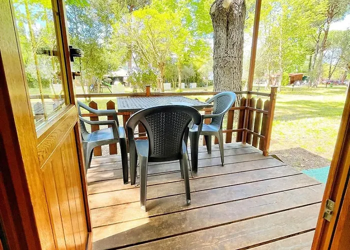 Amalasunta Montefiascone